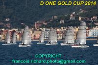 d one gold cup 2014  copyright francois richard  IMG_0050_redimensionner